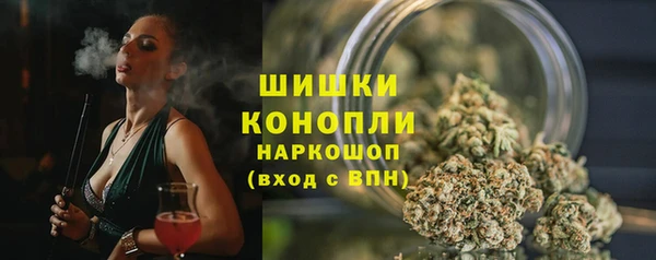 молекула духа Магас